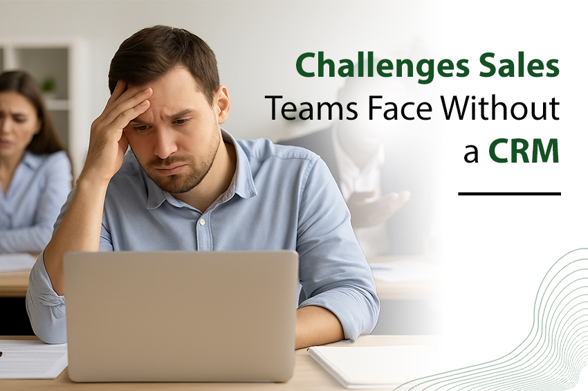 Challenges Sales Teams Face Without a CRM